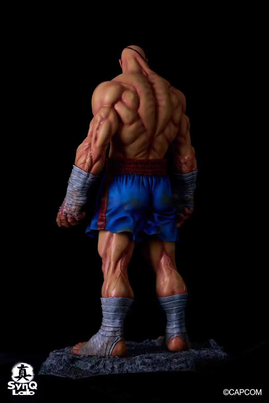 Viktor Sagat - Street Fighter