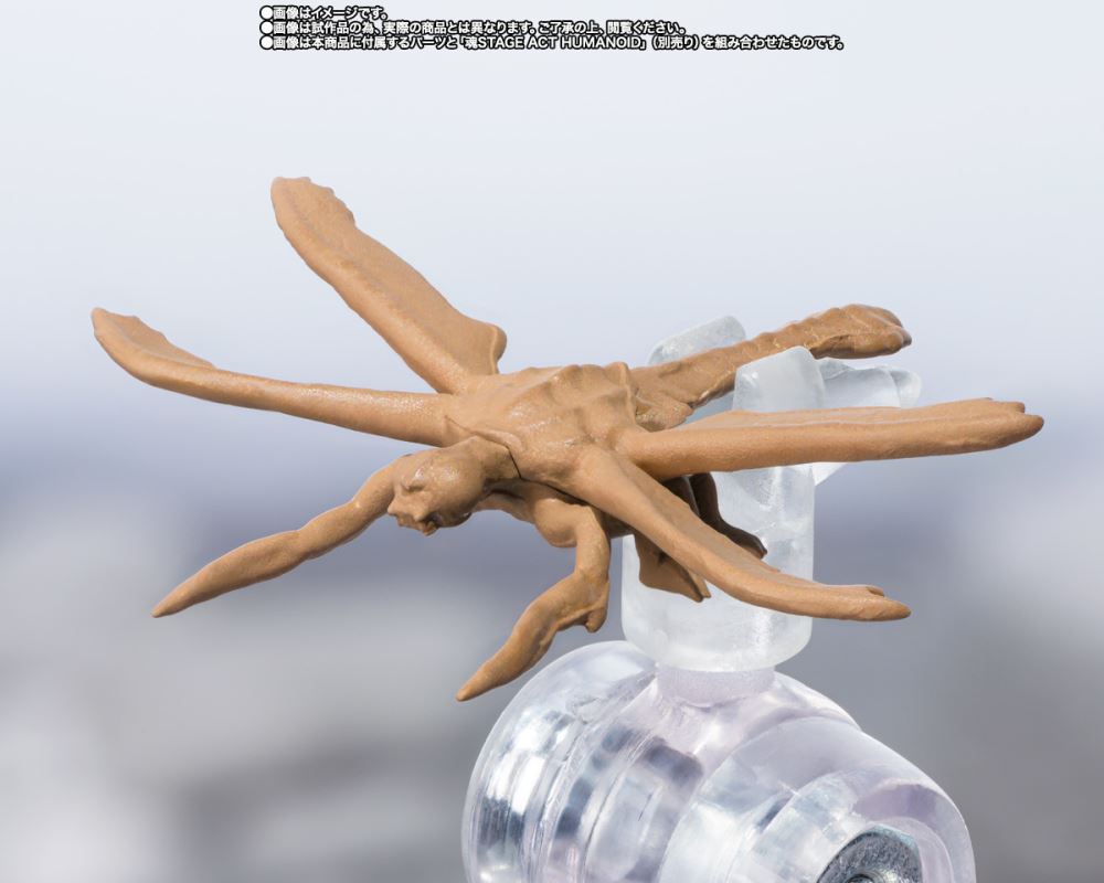 SHMonsterArts Megaguirus Evolution Set