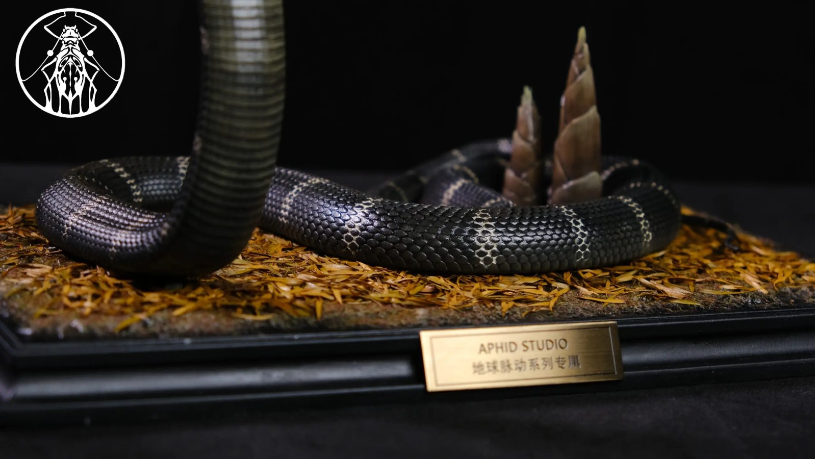 Northern King Cobra