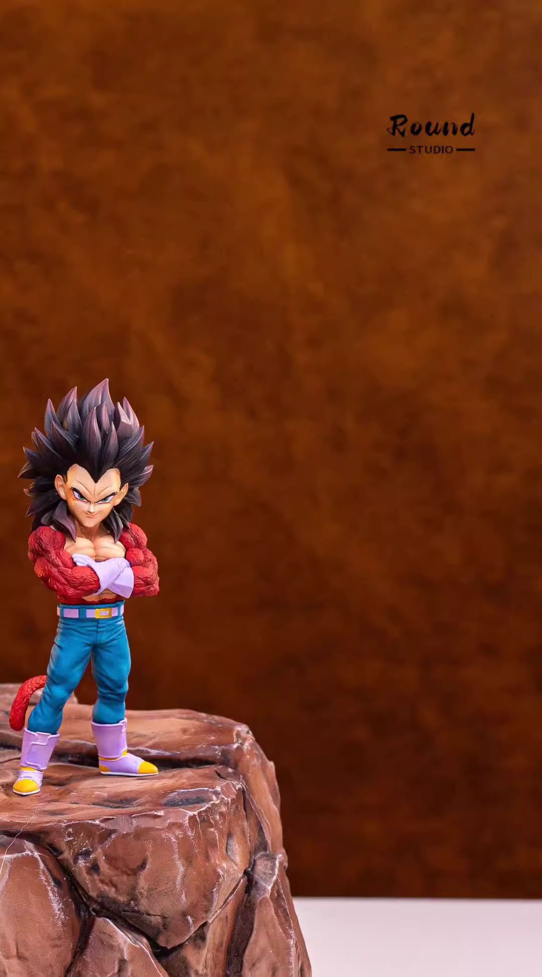 Vegeta and Son Guku - Dragon Ball
