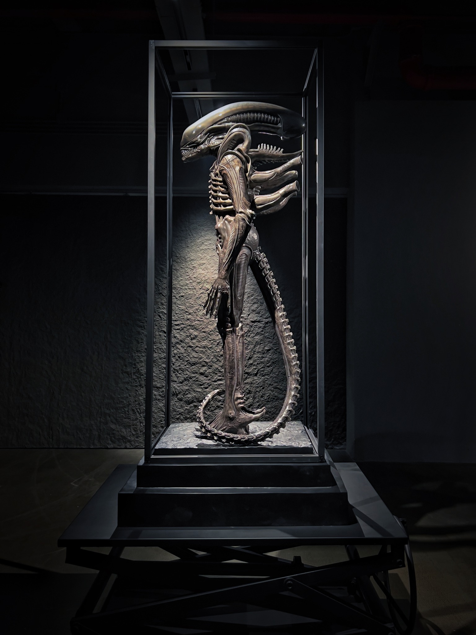 Alien Big Chap - Museum Art Alien 1/1
