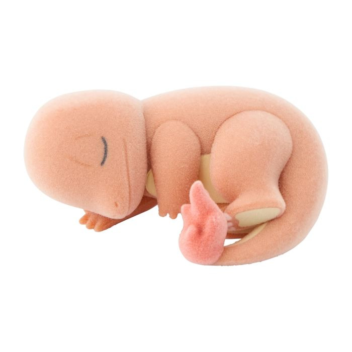 Pokemon Sleep Cute Green Island Model Collection