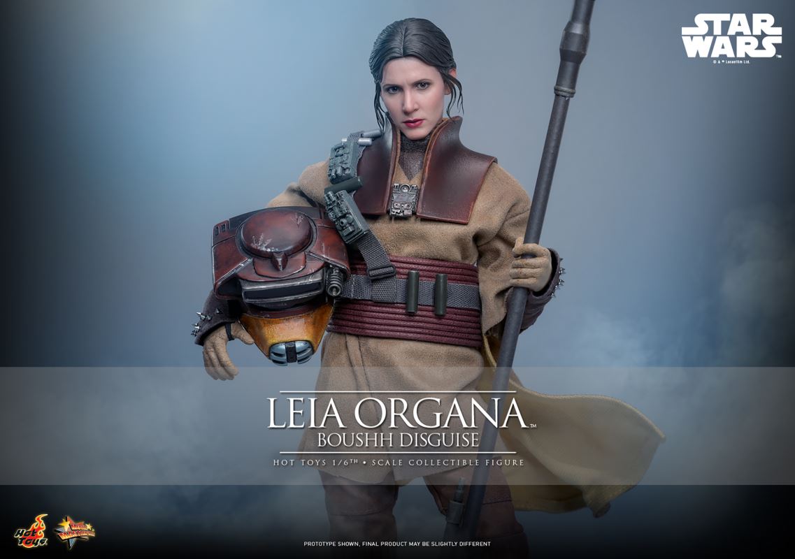 Leia Organa (Boushh Disguise)