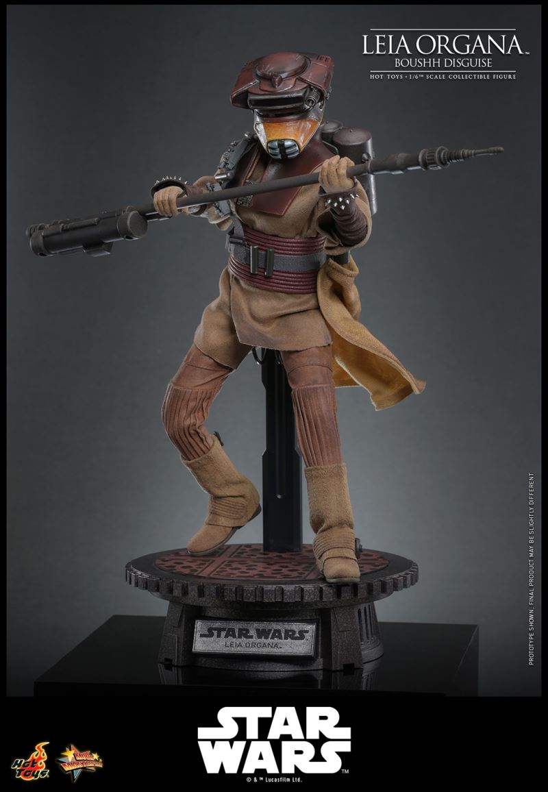 Leia Organa (Boushh Disguise)