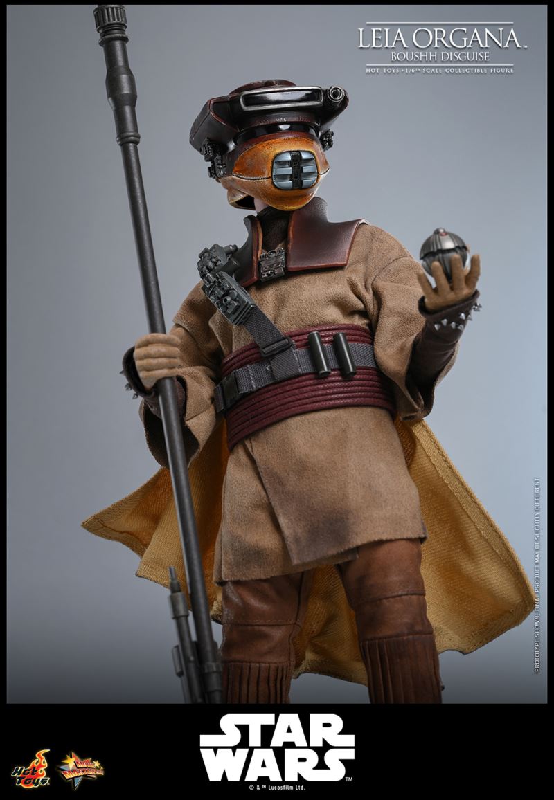 Leia Organa (Boushh Disguise)