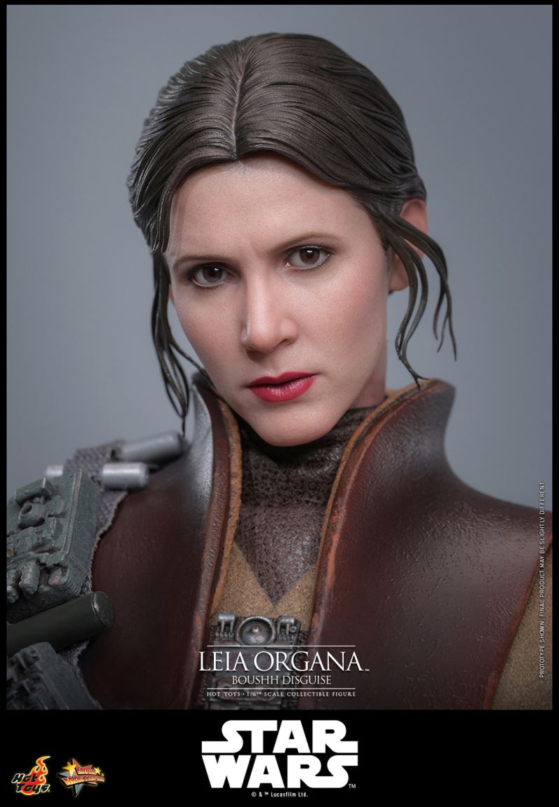 Leia Organa (Boushh Disguise)