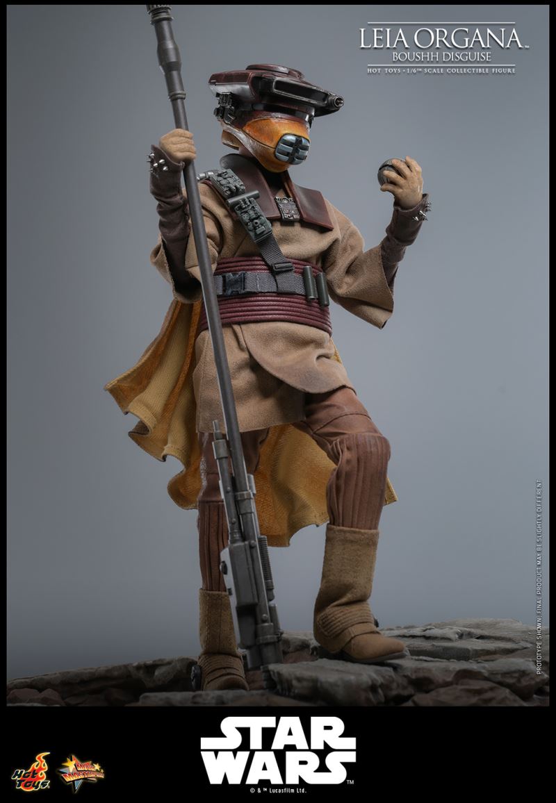Leia Organa (Boushh Disguise)