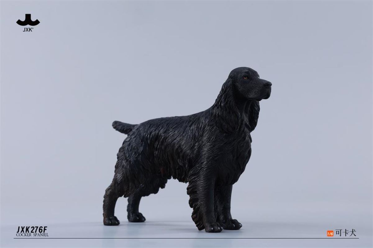 Cocker Spaniel 1/6