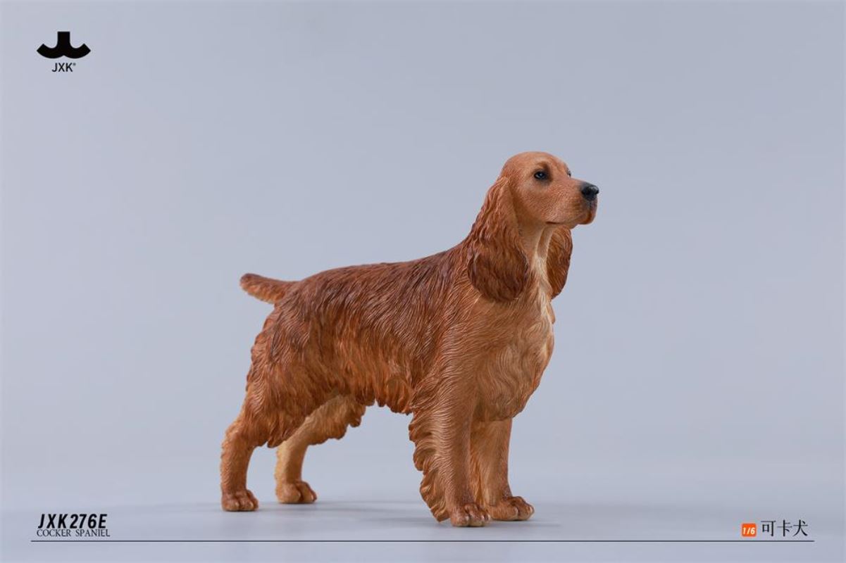Cocker Spaniel 1/6