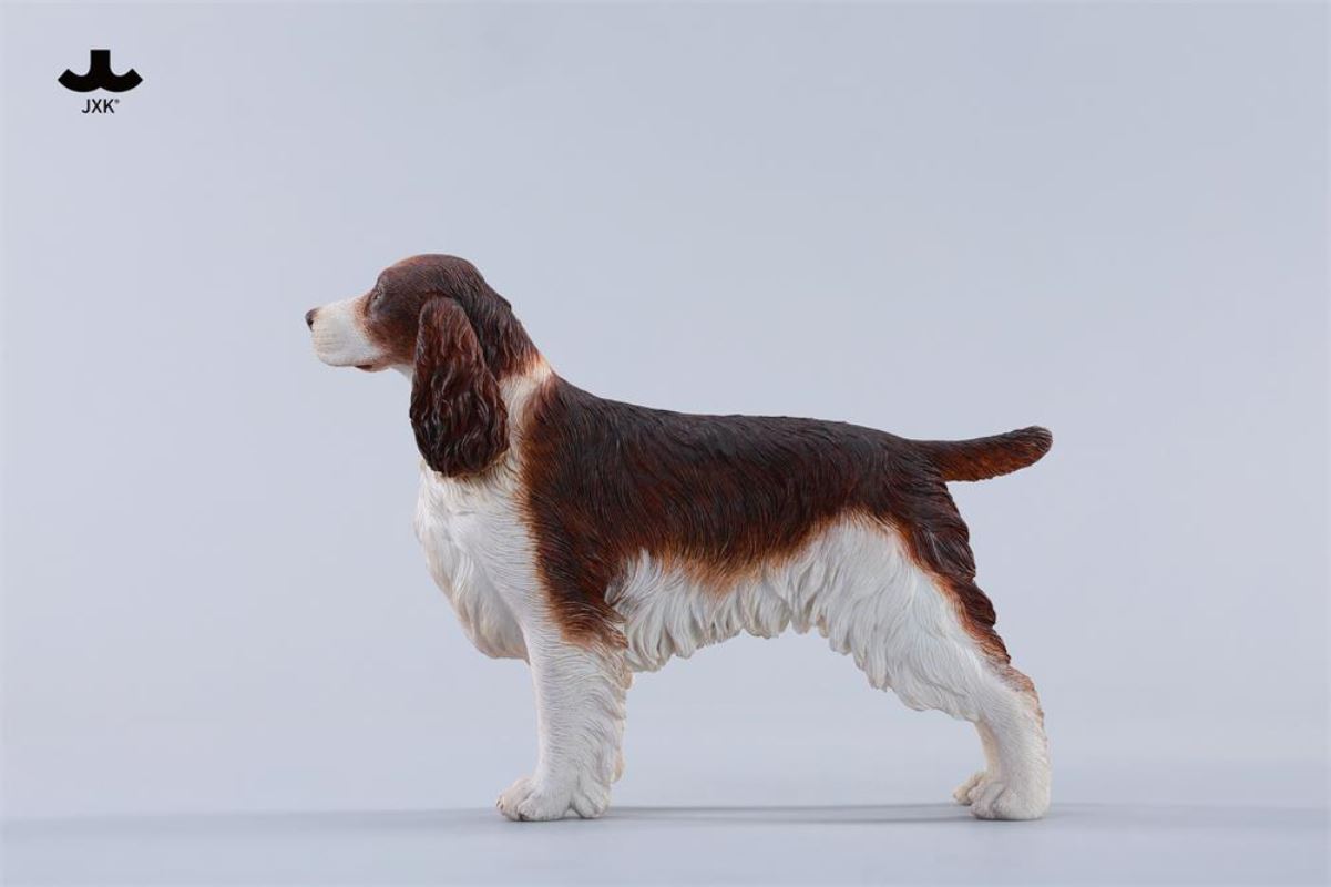 Cocker Spaniel 1/6