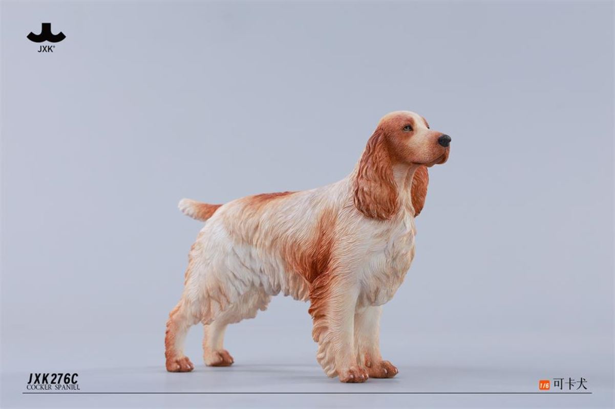 Cocker Spaniel 1/6
