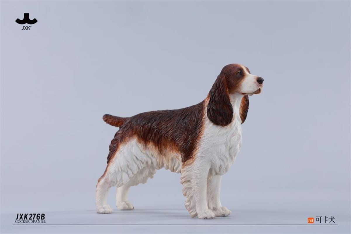 Cocker Spaniel 1/6