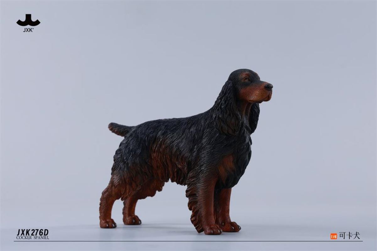 Cocker Spaniel 1/6