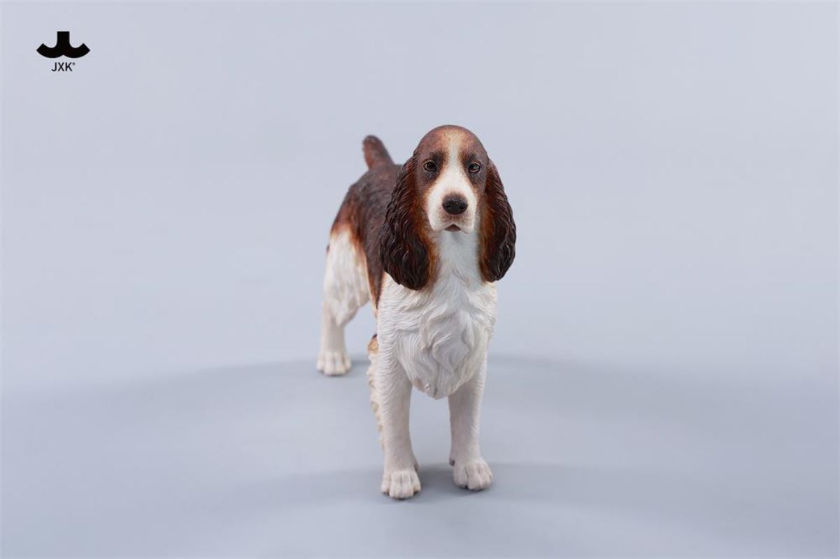 Cocker Spaniel 1/6