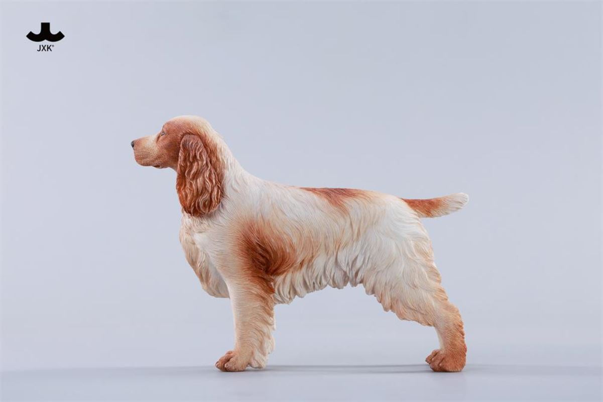 Cocker Spaniel 1/6