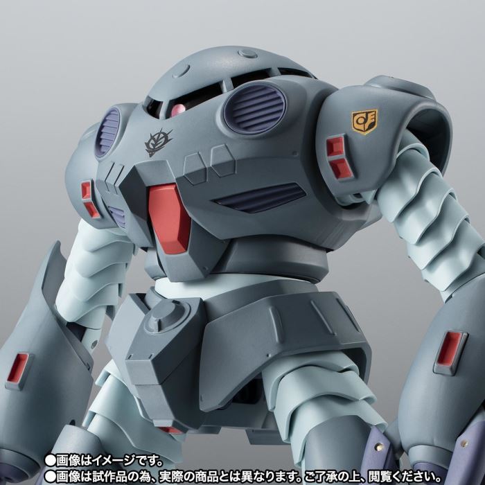 ROBOT Spirits ＜SIDE MS＞ MSM-07E Z'Gok E ver. ANIME