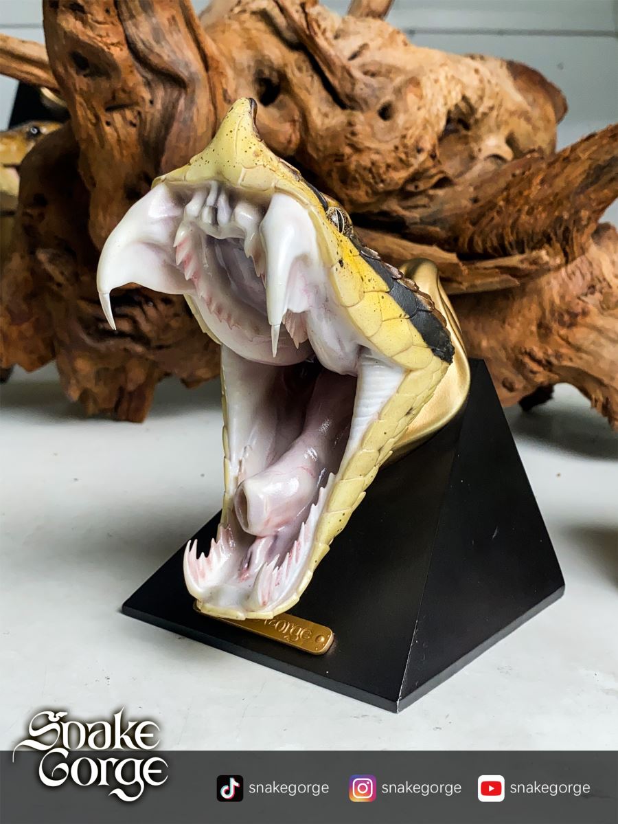 Deinagkistrodon Acutus Head Statue