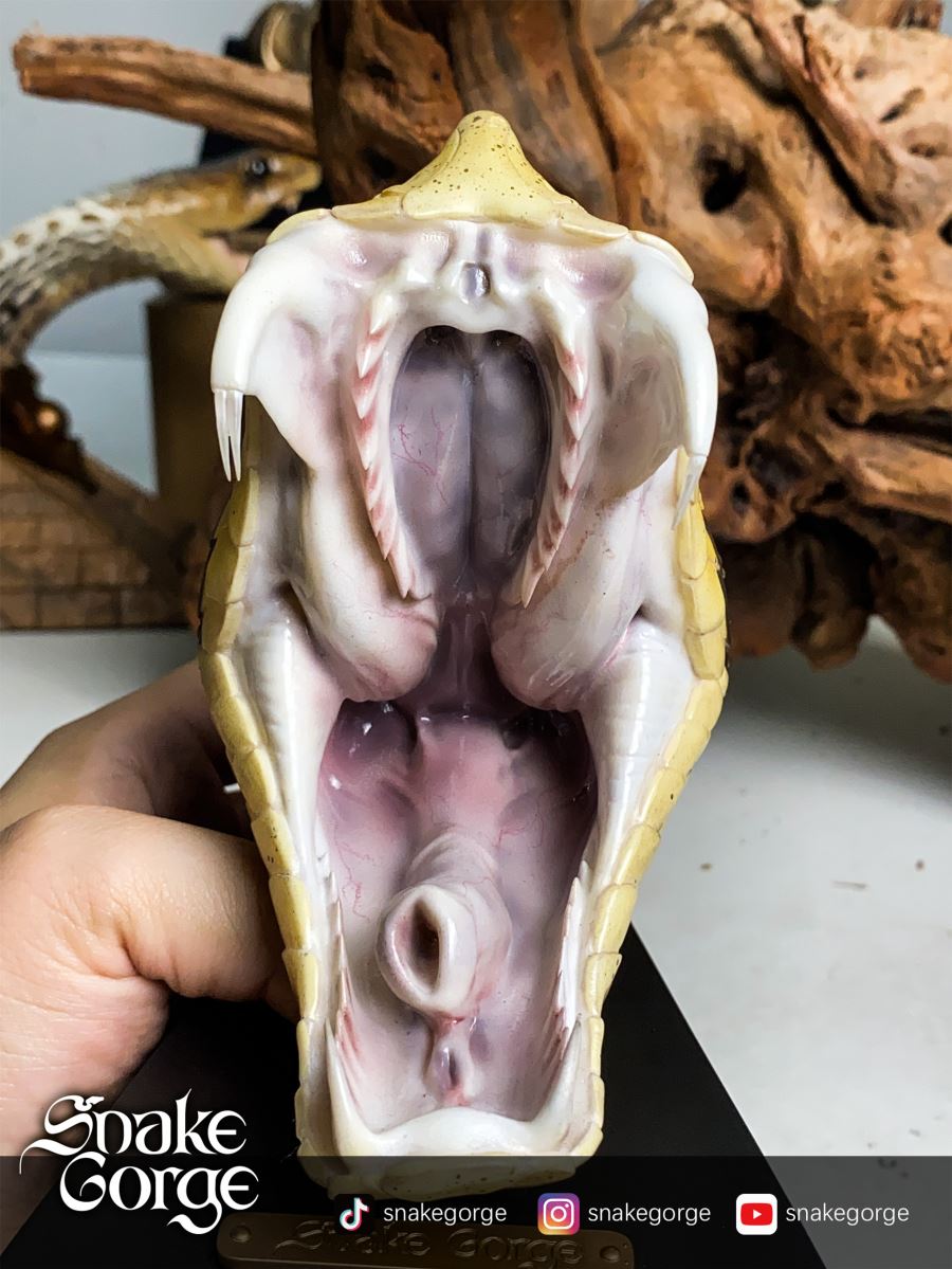 Deinagkistrodon Acutus Head Statue