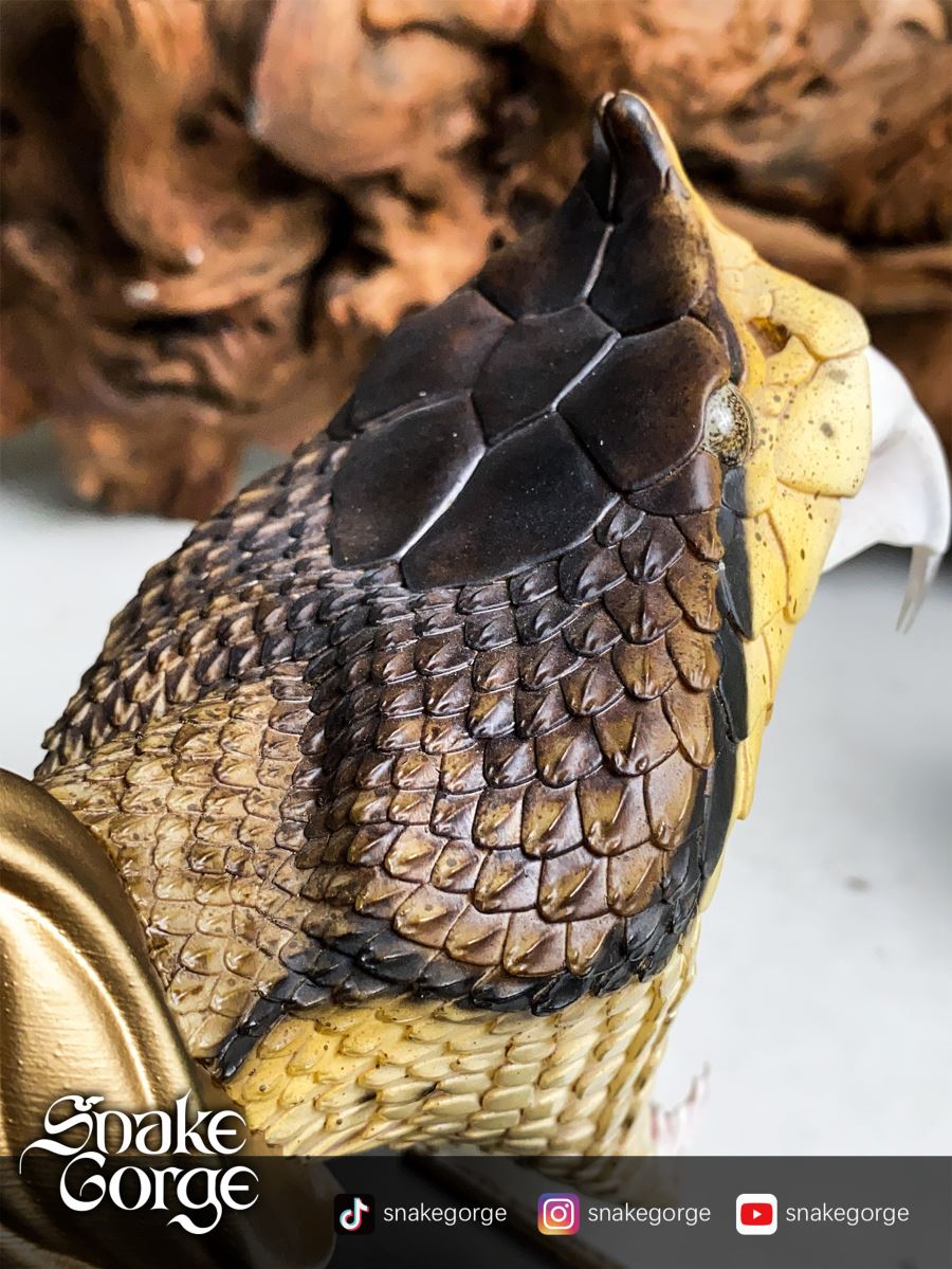 Deinagkistrodon Acutus Head Statue