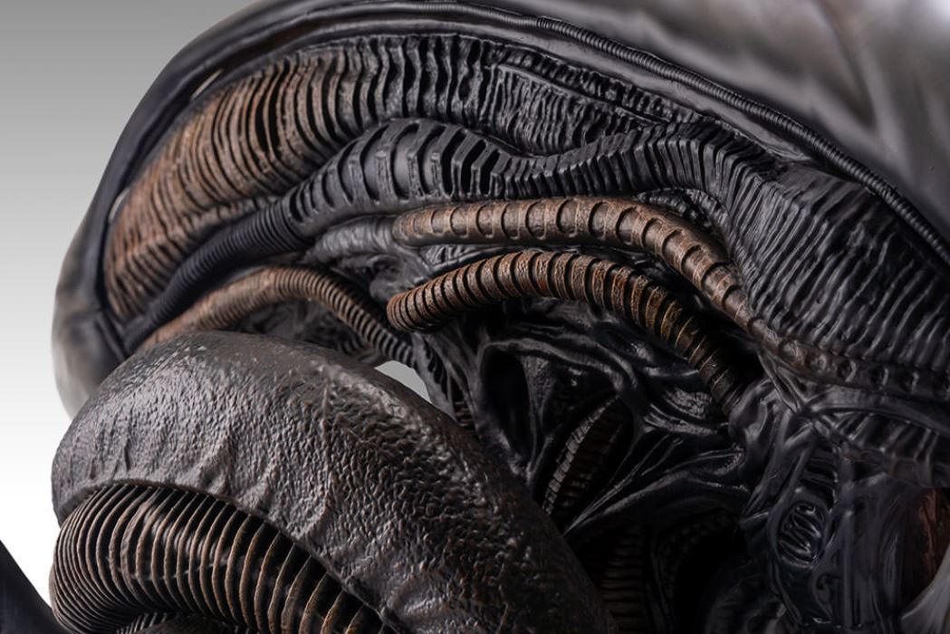 Xenomorph