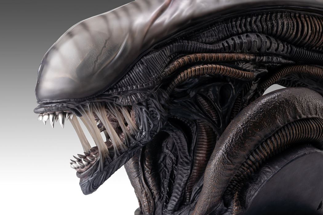 Xenomorph