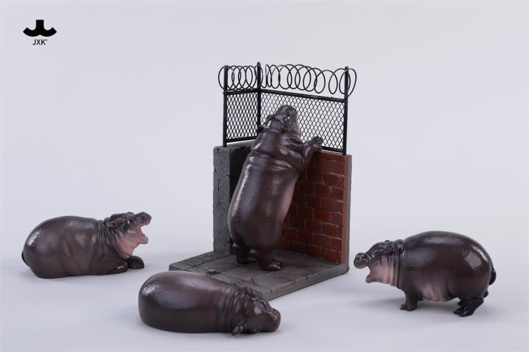 Baby Hippo by the Wall: MooDeng
