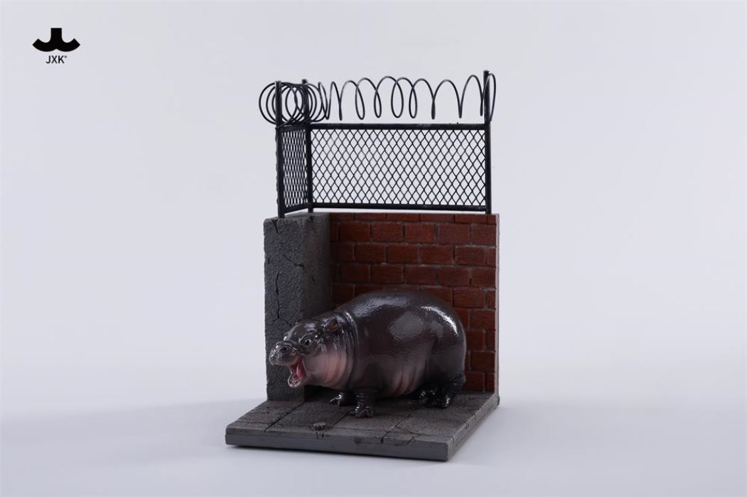 Baby Hippo by the Wall: MooDeng