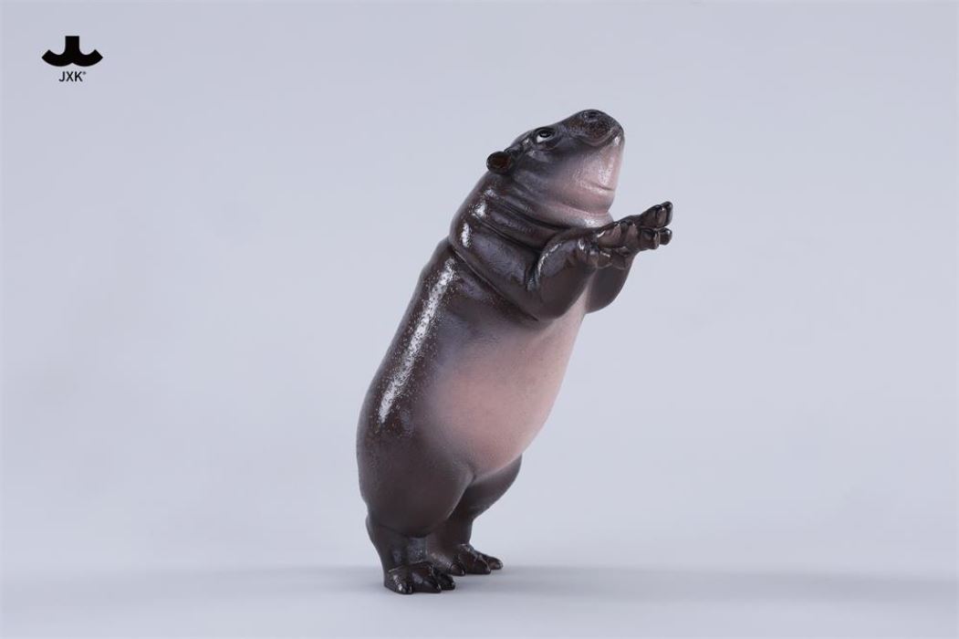 Baby Hippo by the Wall: MooDeng