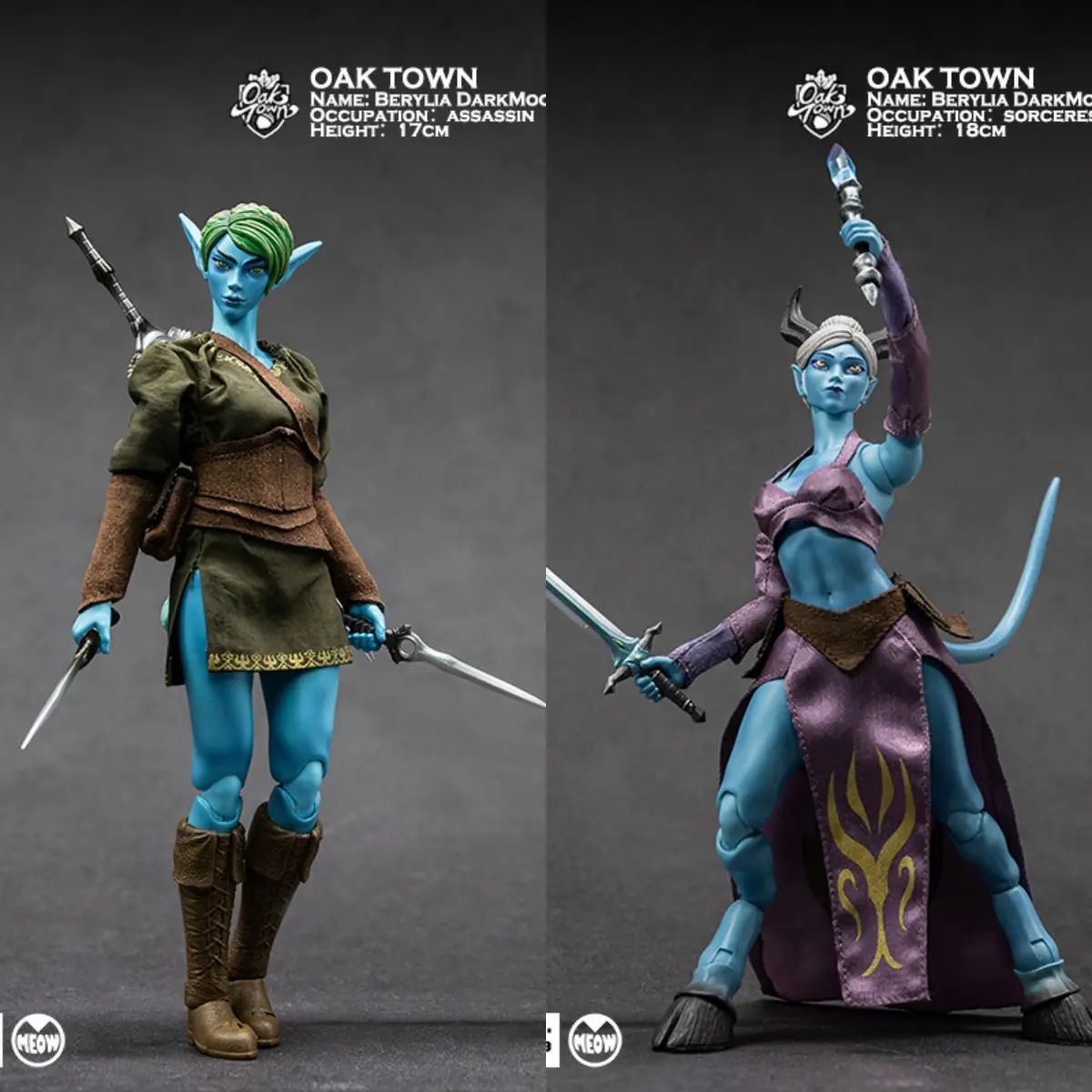 Oak town Berylia Dark Moon Assassin & Sorceress