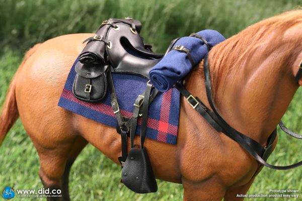 US Army 7th Cavalry Regiment (1876) - Captain Nathan 1/6