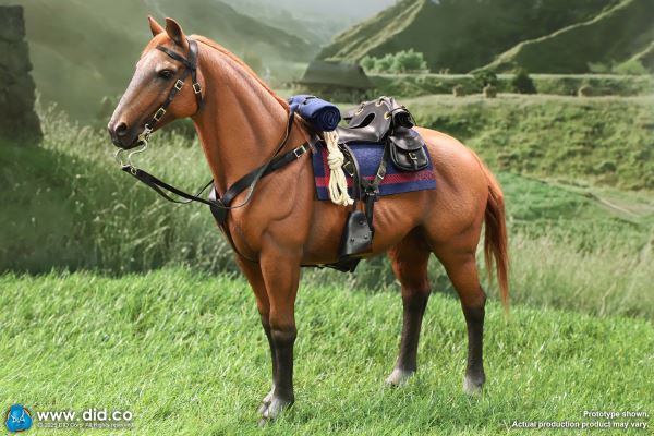 US Army 7th Cavalry Regiment (1876) - Captain Nathan 1/6