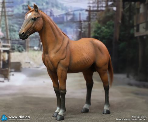 US Army 7th Cavalry Regiment (1876) - Captain Nathan 1/6