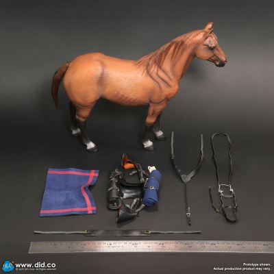 US Army 7th Cavalry Regiment (1876) - Captain Nathan 1/6