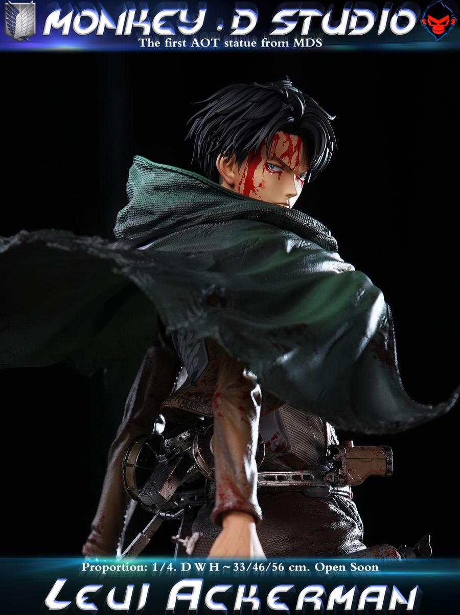 Levi Ackerman - Attack on Titan 1/4