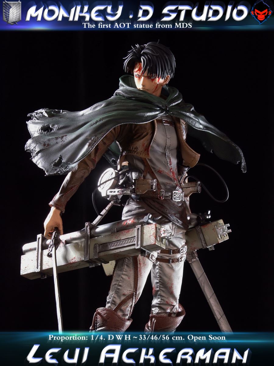 Levi Ackerman - Attack on Titan 1/4