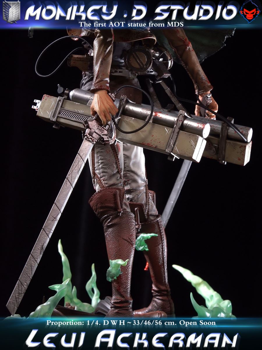 Levi Ackerman - Attack on Titan 1/4