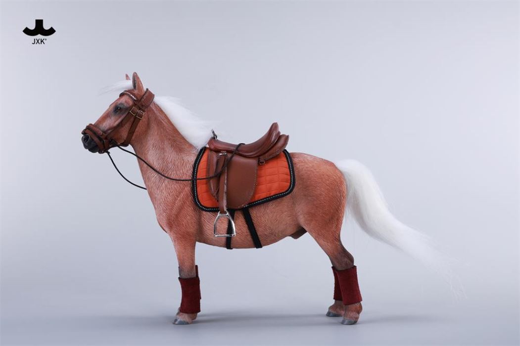 Bangs Pony - Shetland Pony 1/6