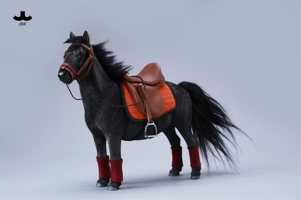 Bangs Pony - Shetland Pony 1/6