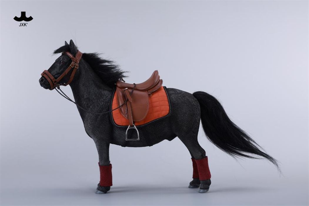 Bangs Pony - Shetland Pony 1/6