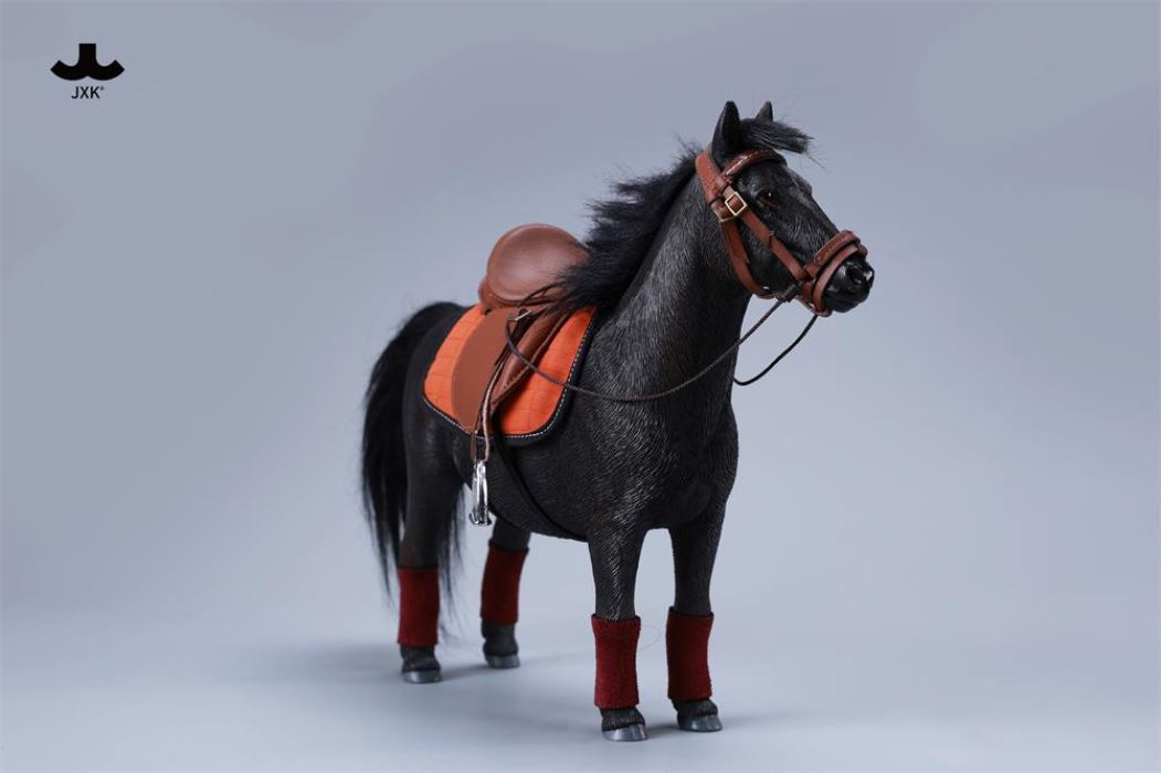 Bangs Pony - Shetland Pony 1/6