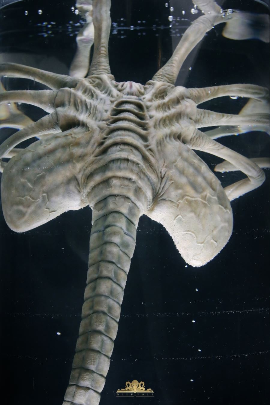 Facehugger Stasis Chamber - Alien