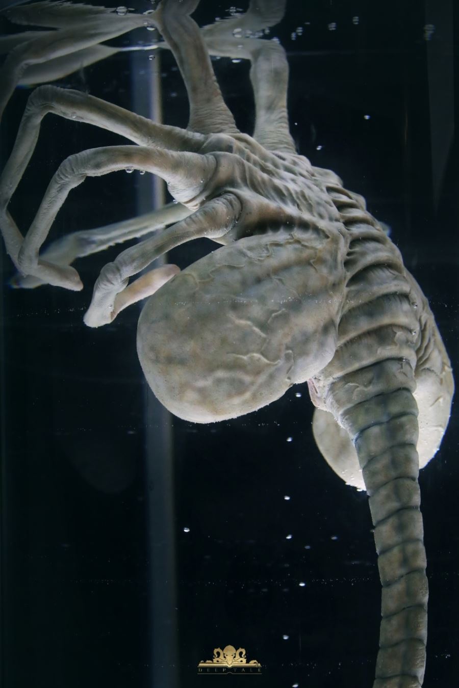 Facehugger Stasis Chamber - Alien