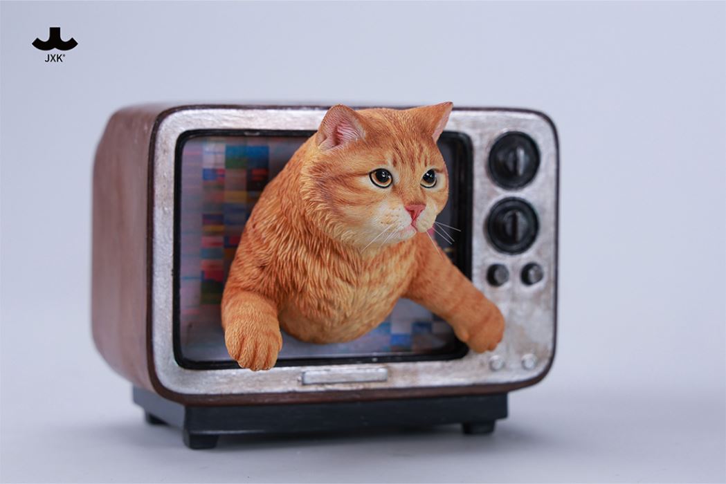 Channel Cat