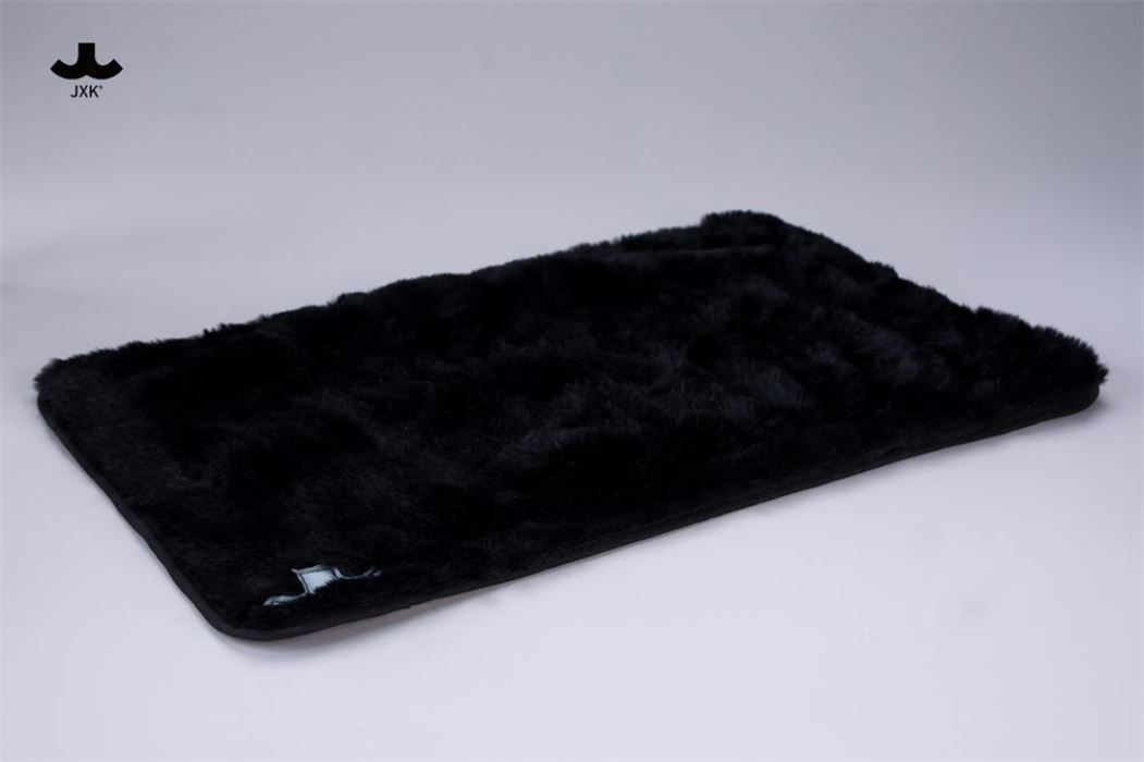 Dream-Fishing Kitten