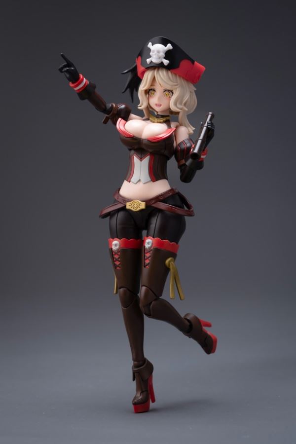 Pirate Captain Queen Anne