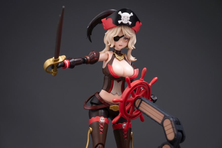 Pirate Captain Queen Anne