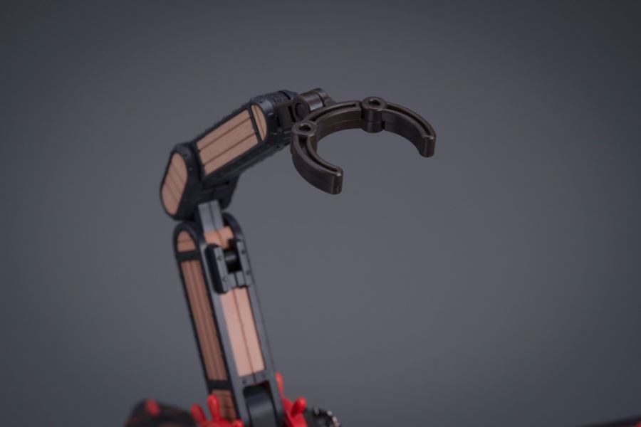 Pirate Captain Queen Anne