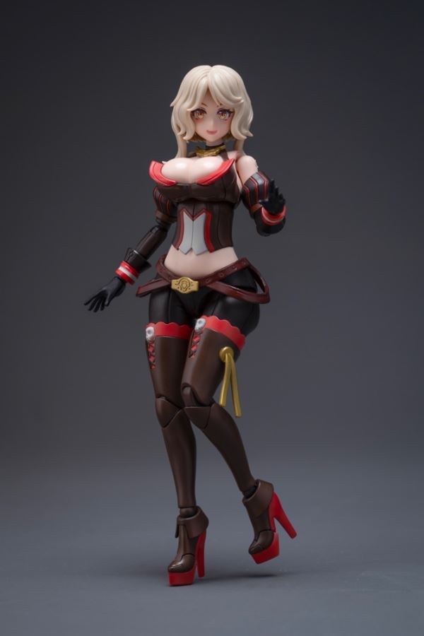 Pirate Captain Queen Anne