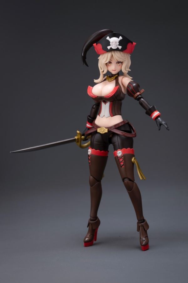 Pirate Captain Queen Anne