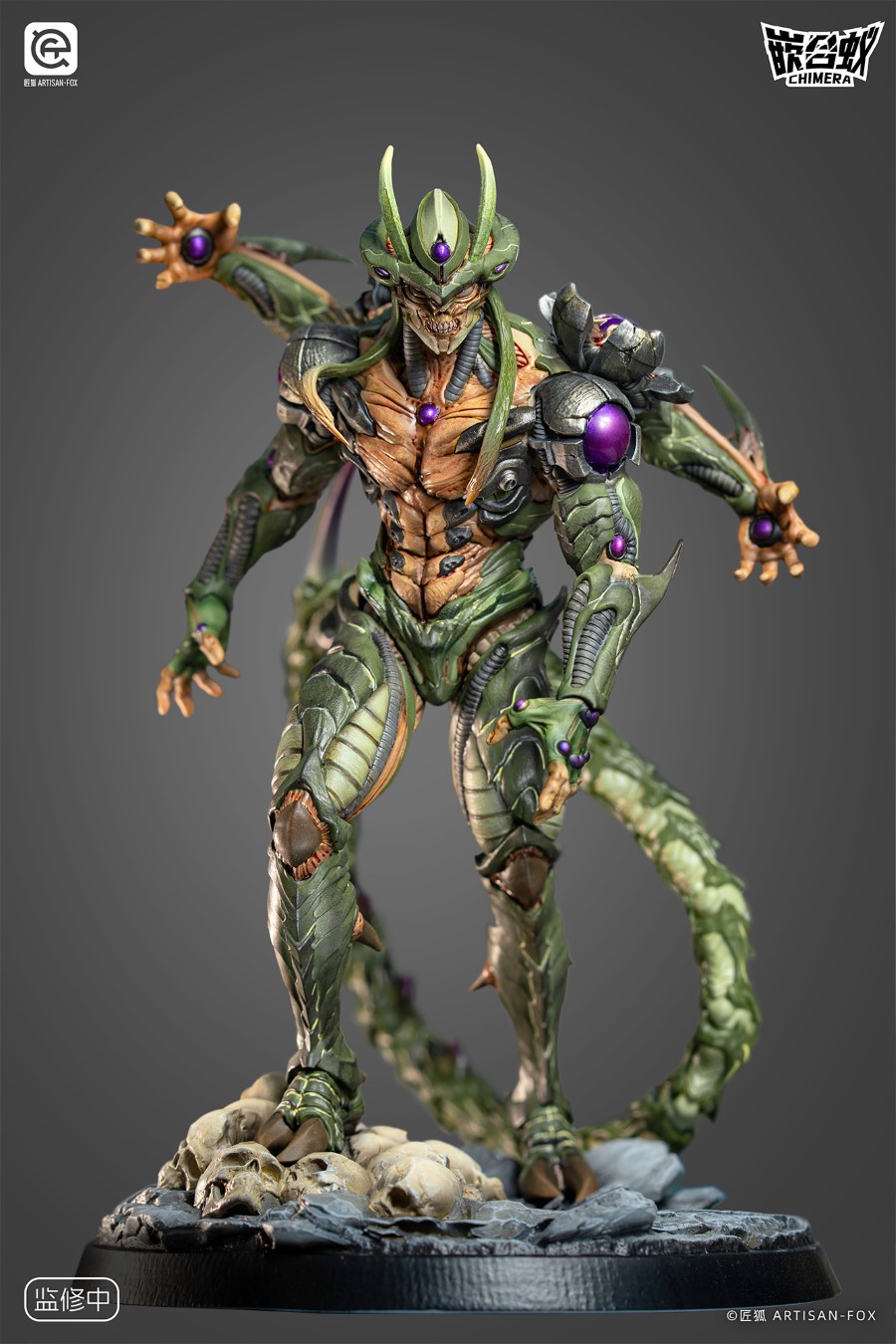 Destiny of the Shadowless Chimera Ant 1/6